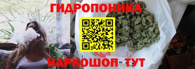 скорость Аша