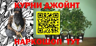 гашиш Ачхой-Мартан