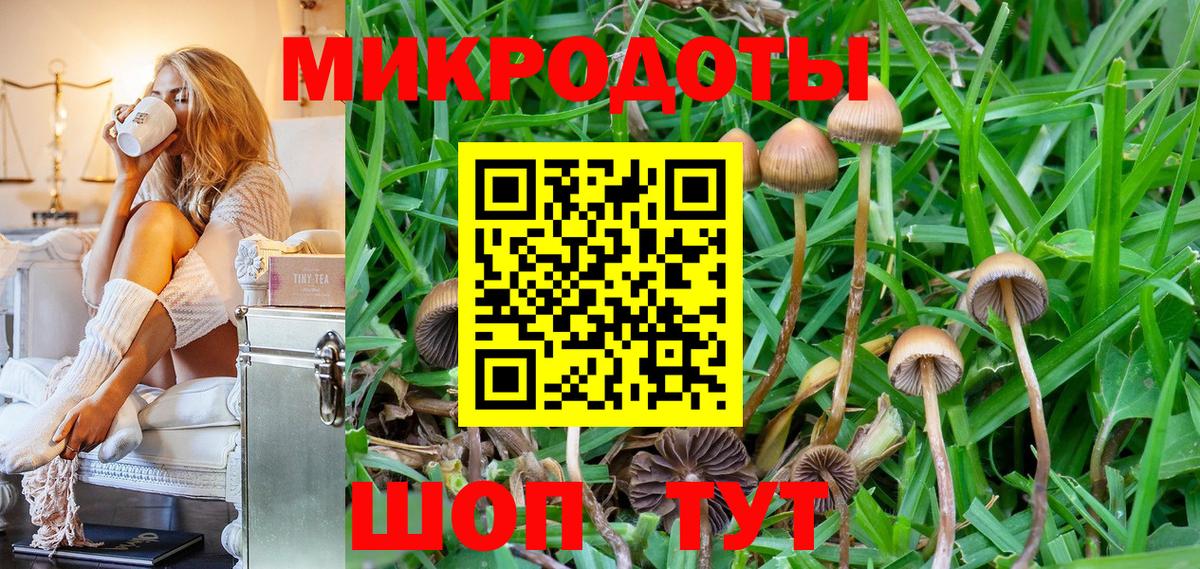 Галлюциногенные грибы мицелий  Вход с VPN  Галлюциногенные грибы GOLDEN TEACHER  Большой Камень 